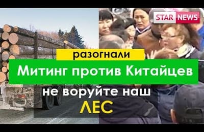 Разогнали Митинг против вырубка леса Китайцами! май Россия 2018