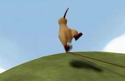 Kiwi