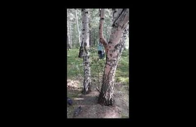 Белки
