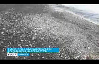 «Чёрную» воду в Байкале исследует Западно-Байкальская межрайонная природоохранная прокуратура