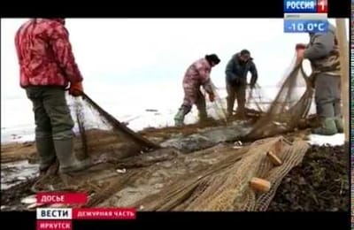 Штраф за вылов байкальского эндемика вырос в 14 с половиной раз