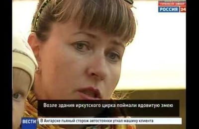 Возле здания цирка в Иркутске поймали ядовитую змею