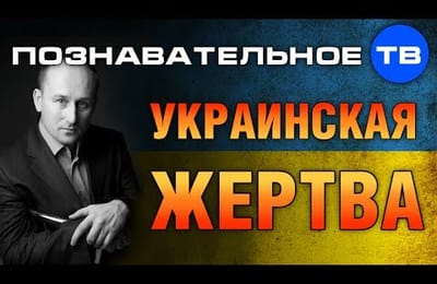 Спокойный и качественный разбор
