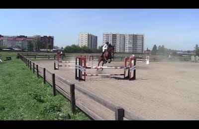 Кубок Иркутского ипподрома разыграли 10 августа 2024 года в Иркутске (Видео)
