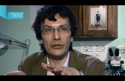 Законы соблазнения и половой отбор