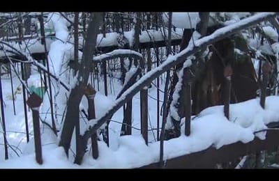 Смерть стучится ко всем одинаково.