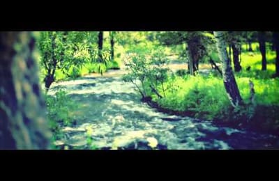 Ей достаточно слова «спасибо» и доброго взгляда. Вода...