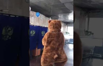 В Бурятии на выборы пришел медведь