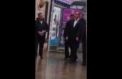 Обиженная киса или сколько стоит место губернатора?