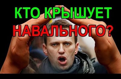 О навальном