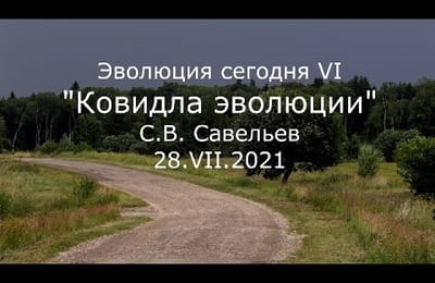 С.В. Савельев - - Ковидла эволюции