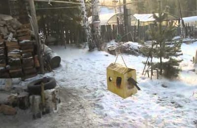 Кормушка для птиц
