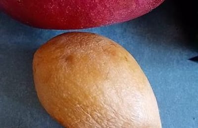 Нашёл фрукт мушмула в Ангарске