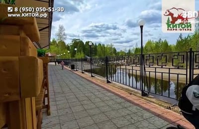 День за днём. Выпуск от 29.06.2026