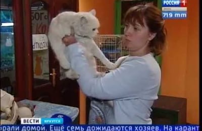 Кинологи питомника «К-9» вновь собираются в Тулун. В рейс отправится двухэтажный «дом на колёсах» для животных