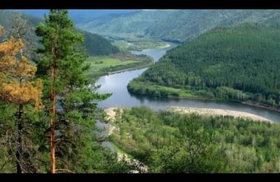 НОД vs "Партия Дела". Е.Федоров показал свое истинное лицо