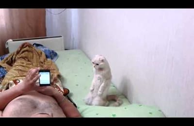 Гимн, нужно слушать стоя  :)