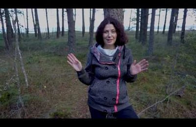 Как не стать жертвой манипулятора