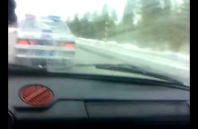 Погоня за быдлом