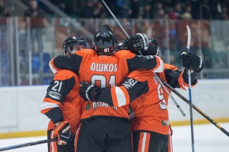 Долгожданная