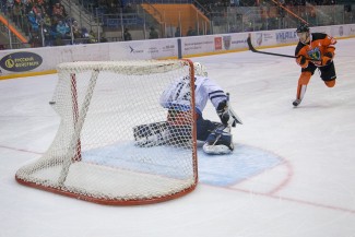 Затоптали мухоморов