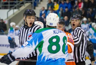 Домашняя серия. НАЧАЛО.