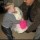 GetImage (9)