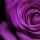 1264019192 D0EEE7E0203032