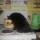 C285229e931a970d126086e45e5 prev