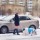 Домашний питомец