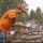 Sized IMG 9404