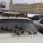 Воробейник