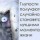 Глупости получаются случайно