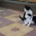 Котэ
