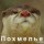 Присмотрись!=)