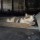 Котэ слесарь