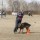 GetImage (10)