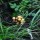 DSC 0399