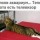 Телевизор для котэ