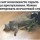 Несчастный случай