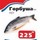 Свежий улов в фирменных магазинах "Сарсенбаев"