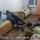 Телефоны в лагере