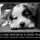 Вина