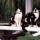 Лунные коты