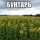 Бунтарь