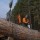 Sized IMG 9049