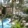 Tropical garden