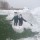 На зимовку в холодные края