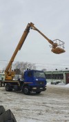 Объявление №616623