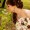 Nadine